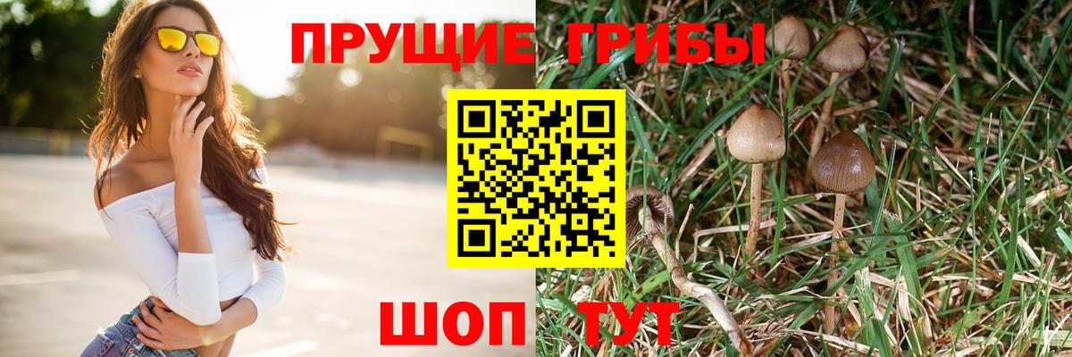 Галлюциногенные грибы мицелий  Вход с VPN  Междуреченск  Псилоцибиновые грибы мухоморы 