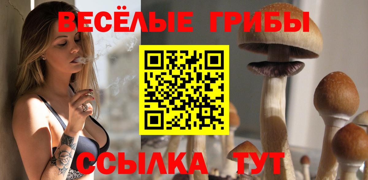 Галлюциногенные грибы Cubensis Междуреченск